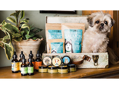 CBD Dog Health Coming to Global Pet Expo